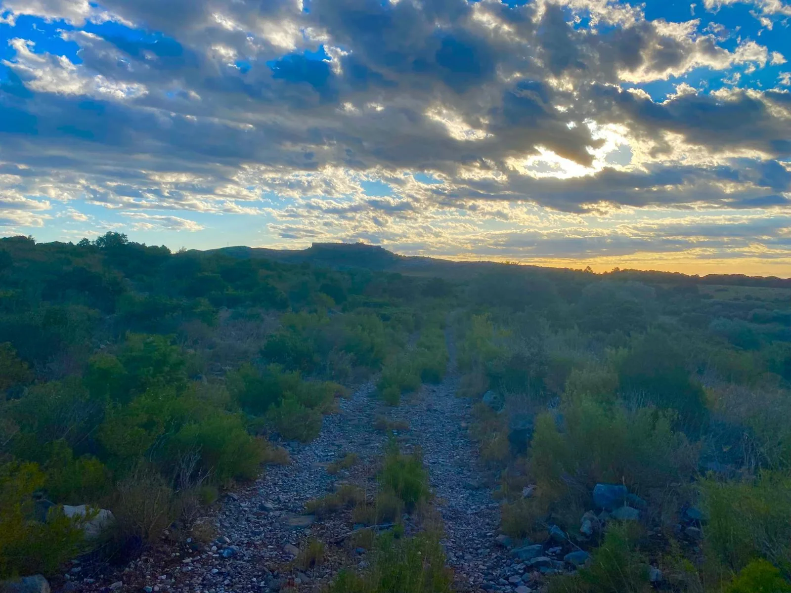 Chemin dans la garrigue sous un vaste ciel nuageux