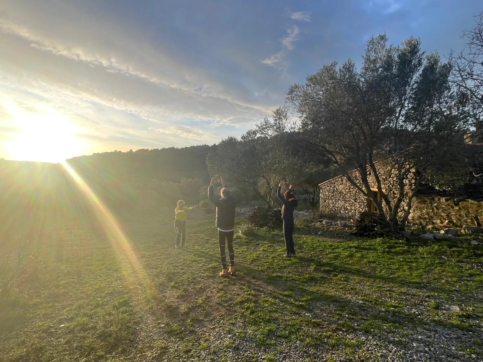 Séance de mouvements doux en plein air au soleil levant